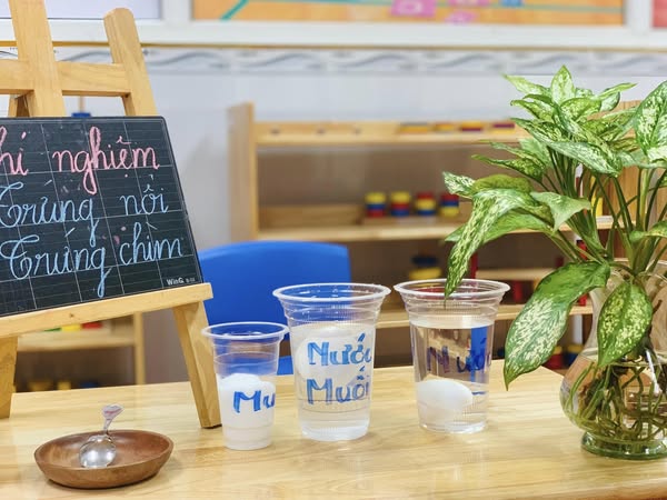 KHÁM PHÁ KHOA HỌC CÙNG HOẠT ĐỘNG “TRỨNG CHÌM – TRỨNG NỔI”