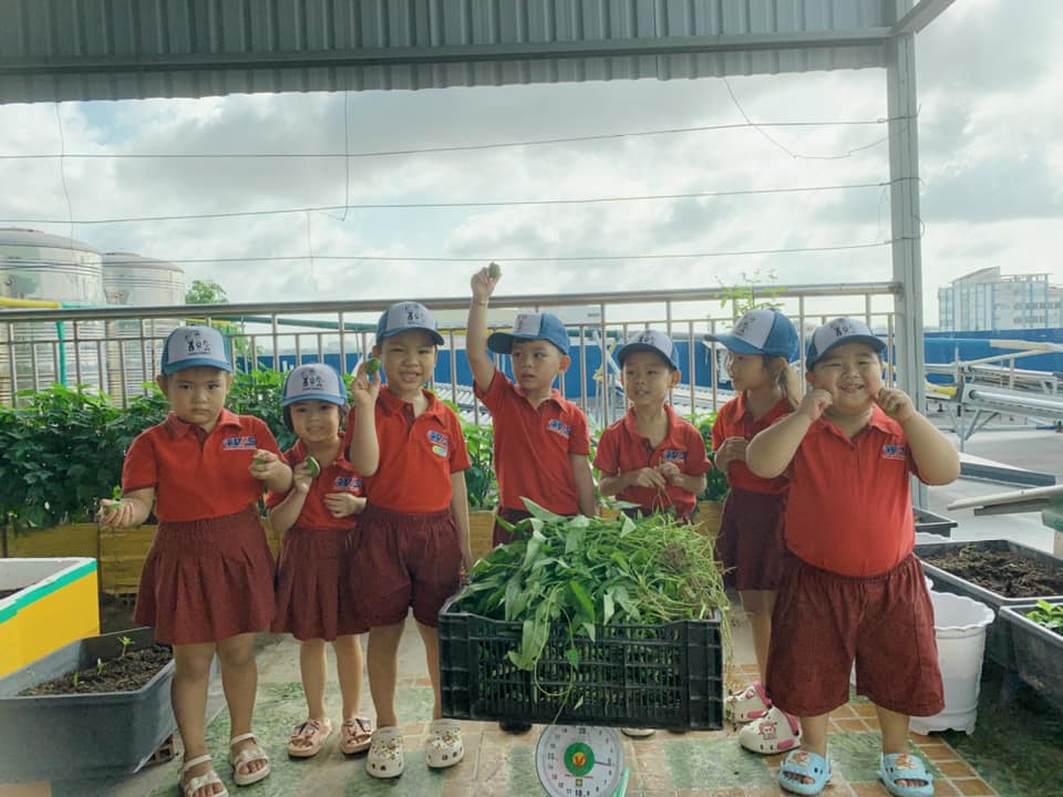 BÉ VUI KHÁM PHÁ VƯỜN RAU – THU HOẠCH RAU MUỐNG VÀ HÁI CÓC