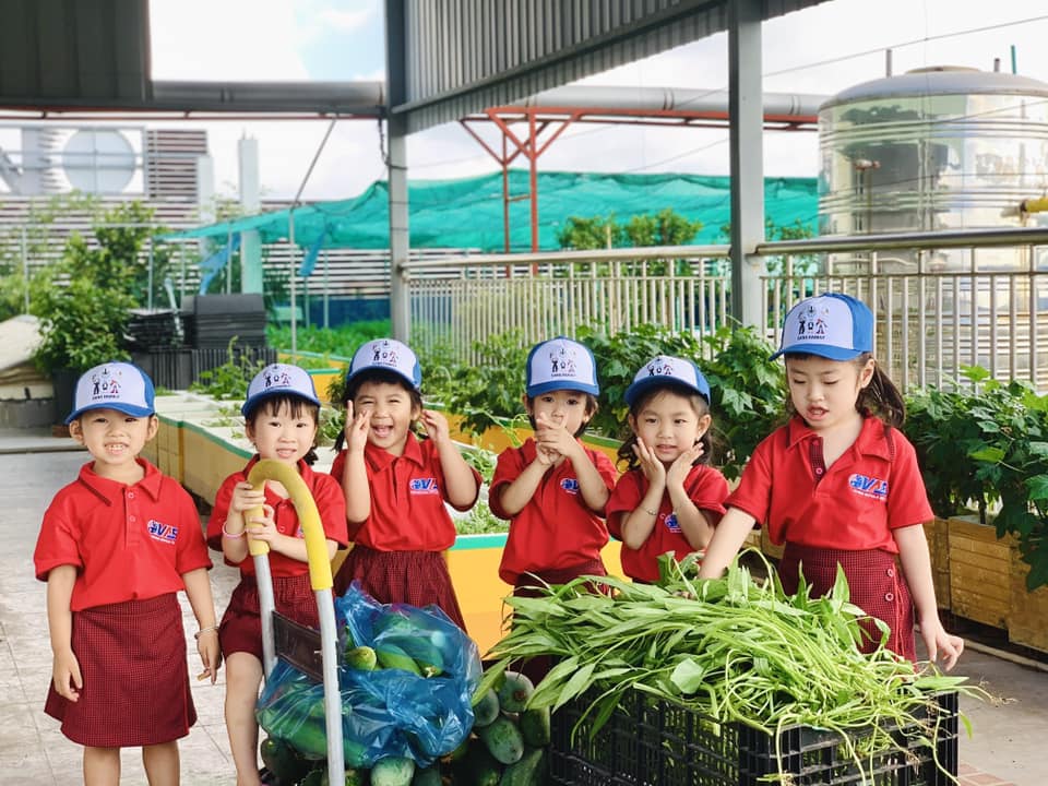 Buổi đến tham quan và thu hoạch rau muống và mướp của các bé yêu lớp mầm Candy sau những ngày nghỉ lễ