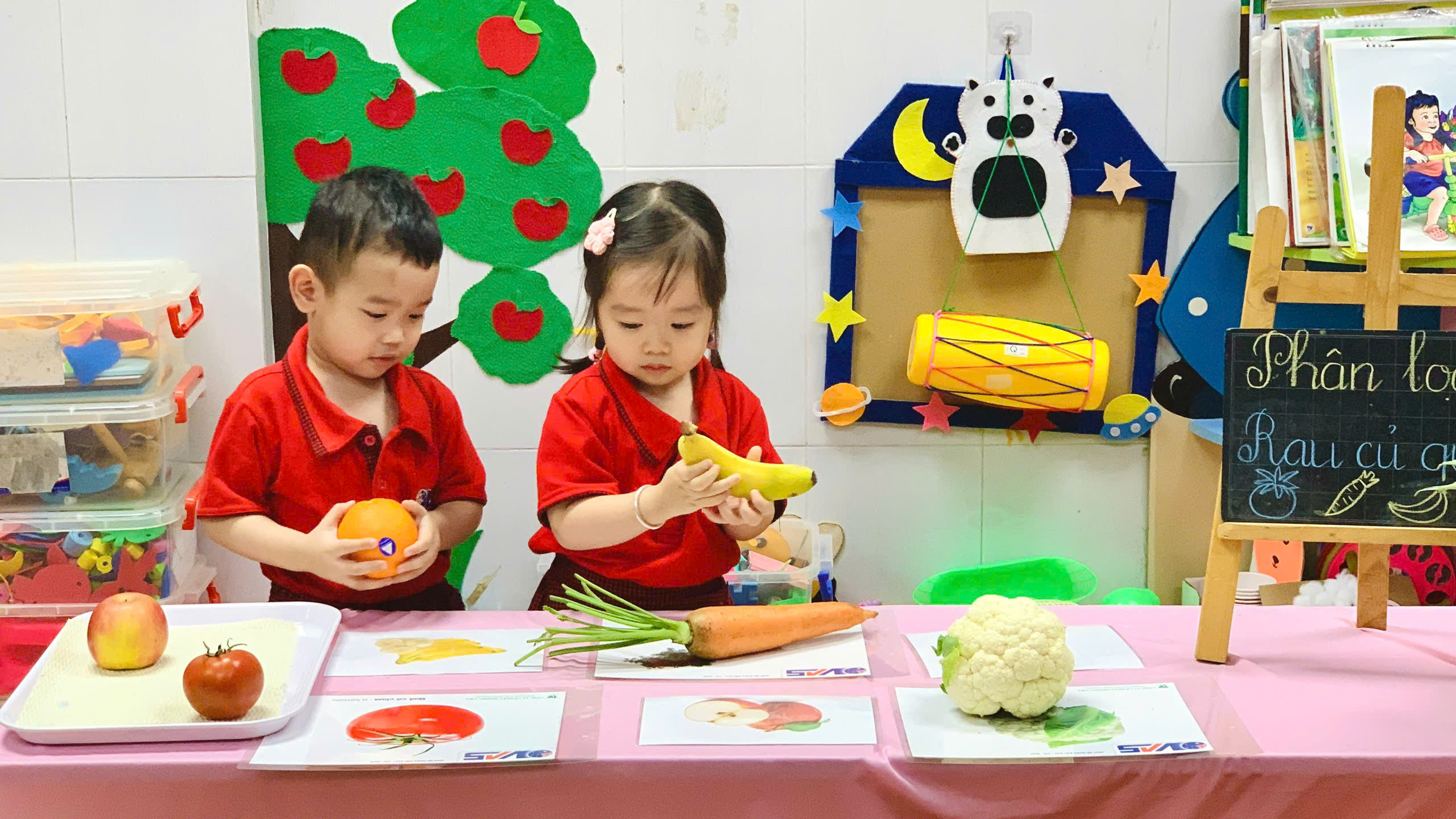 HOẠT ĐỘNG PHÂN LOẠI RAU CỦ QUẢ CỦA BÉ YÊU