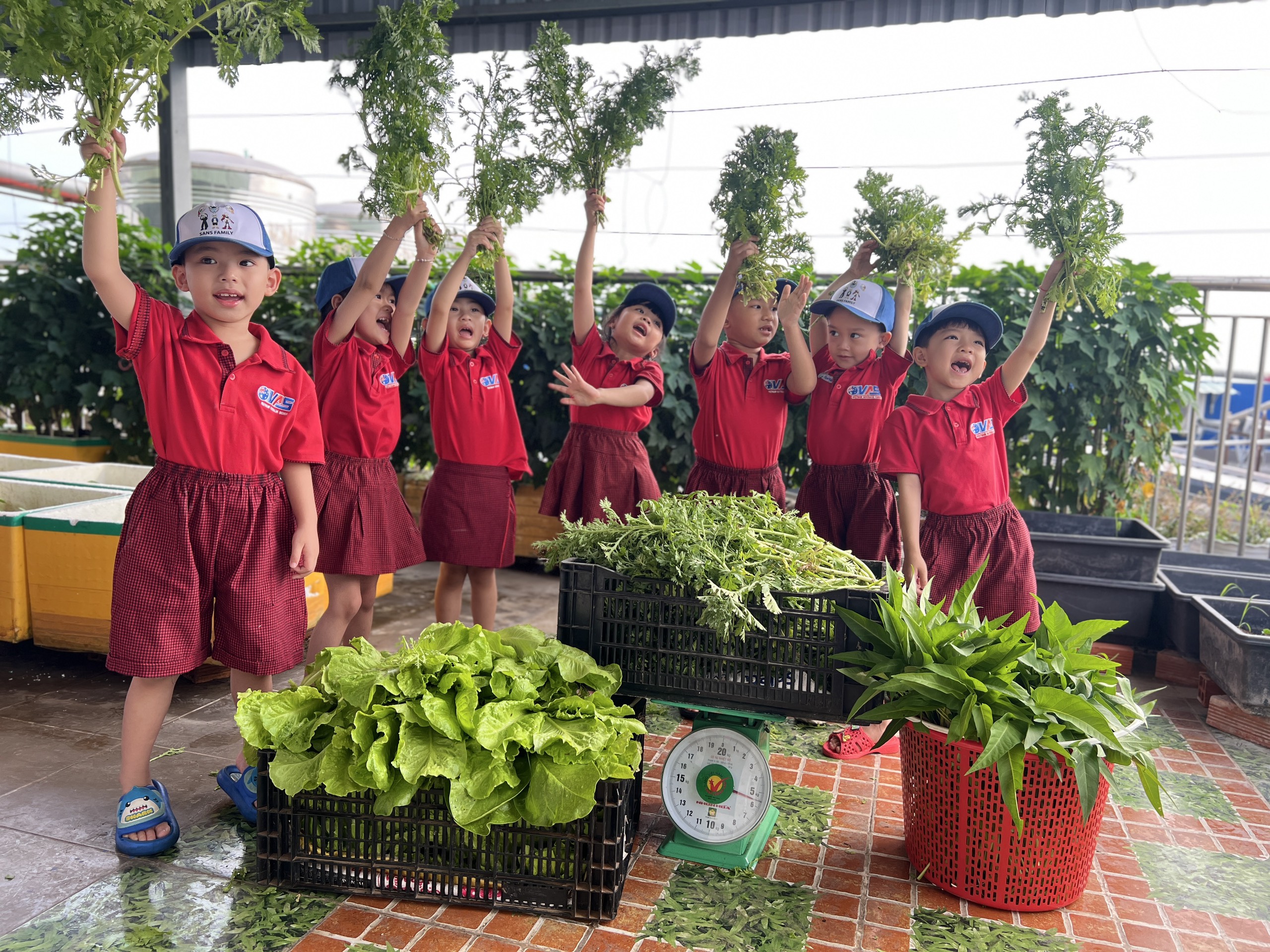 BẢN TIN NÔNG NGHIỆP NHÍ: VỤ MÙA BỘI THU!