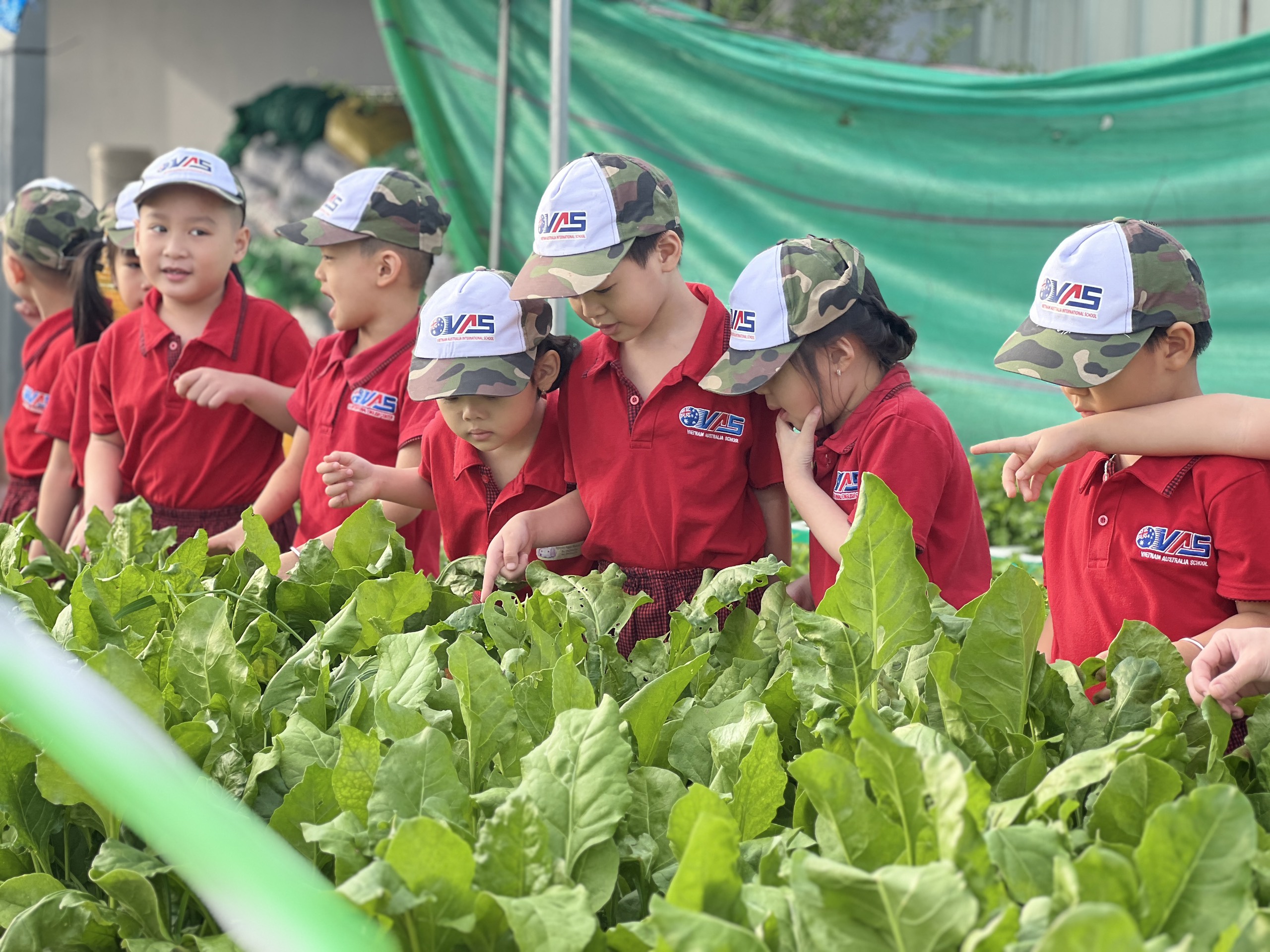 MỘT NGÀY LÀM NÔNG - TRĂM ĐIỀU BÉ HỌC!