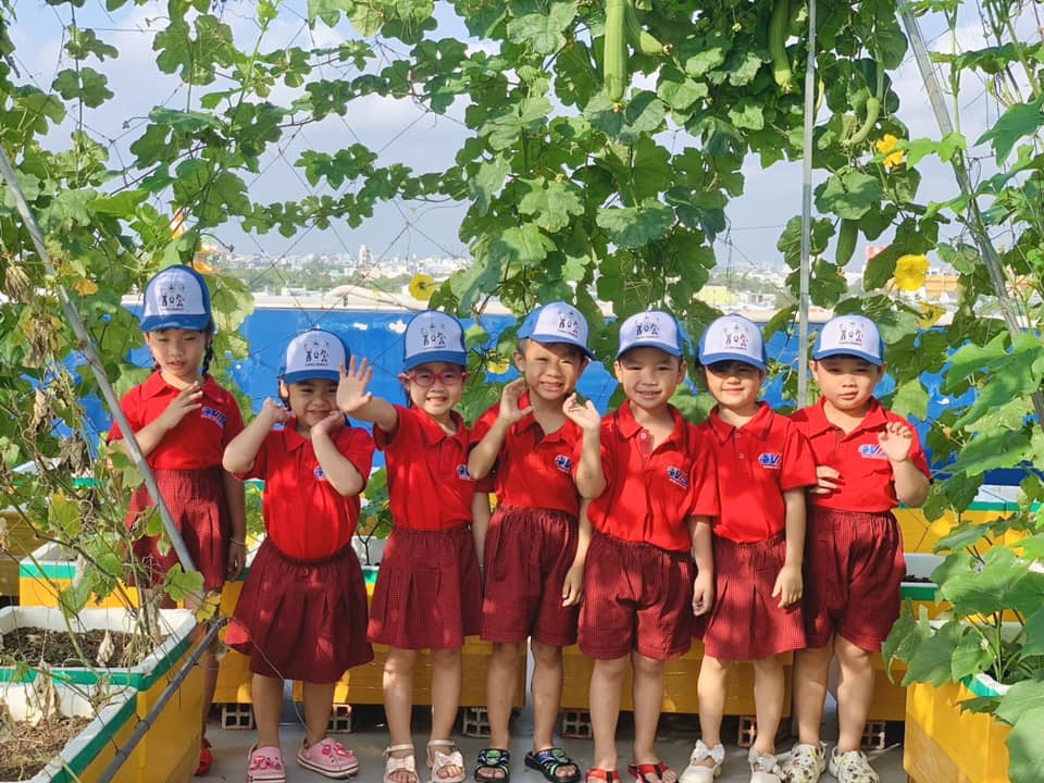 Buổi thu hoạch cải bó xôi của các bé yêu lớp chồi Nấm Hương