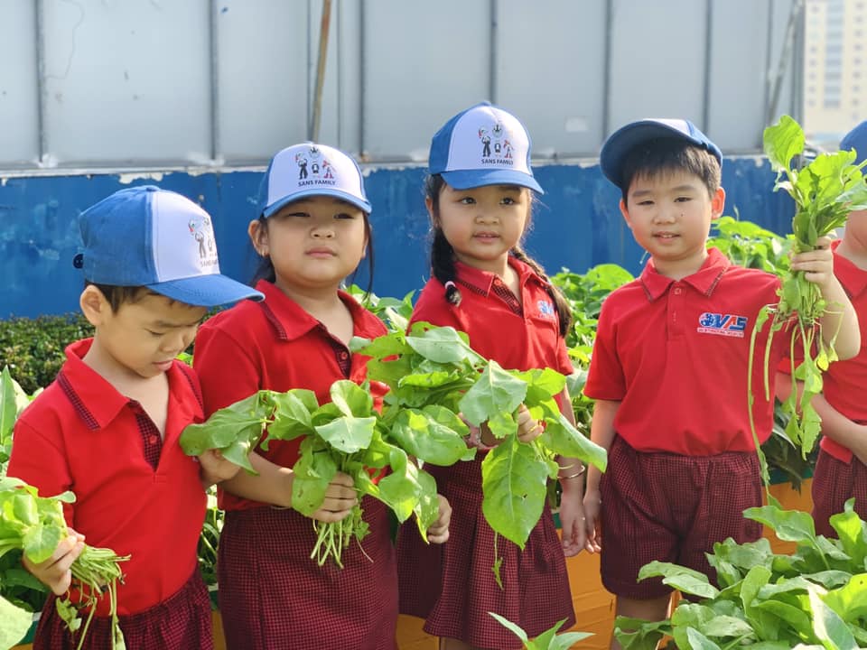 NIỀM VUI THU HOẠCH RAU QUẢ MỖI NGÀY